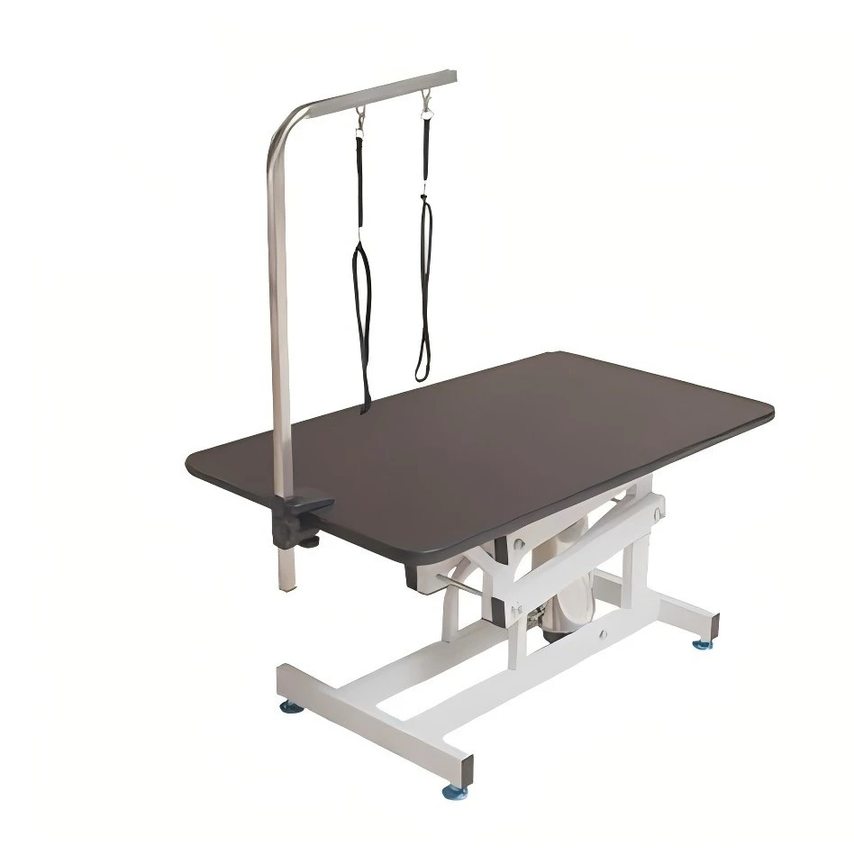 Igogailu hidraulikoa Albaitari Tolestuta Pet Grooming Edertasun Mahaia Txakurrentzako